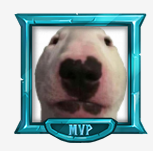 ارتقاء رنک از +VIP به MVP