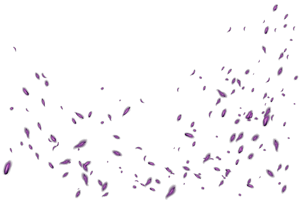 خانه